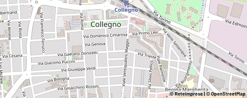 Mappa Collegno