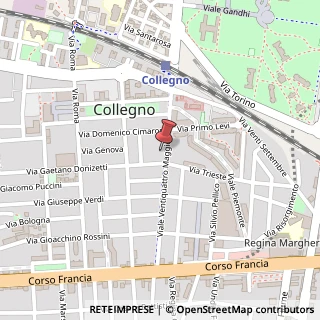 Mappa Viale XXIV Maggio, 47, 10093 Collegno, Torino (Piemonte)