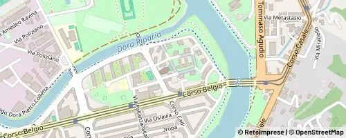 Mappa Turin