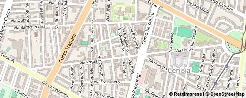 Mappa Turin