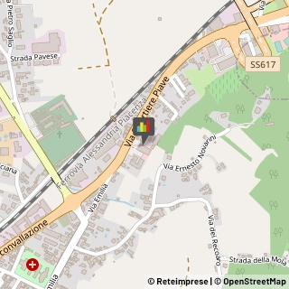 Palestre e Centri Fitness,27043Pavia