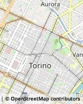 Agenzie di Animazione e Spettacolo Torino,10123Torino