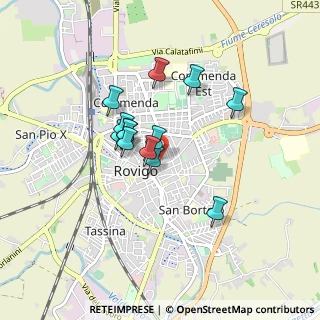 Mappa Via IV Novembre, 45100 Rovigo RO, Italia (0.65154)