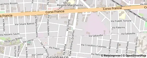Mappa Collegno