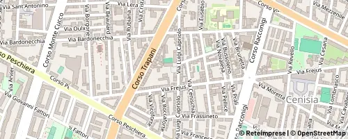 Mappa Turin
