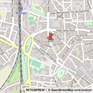 Mappa Viale Regina Margherita, 13, 45100 Rovigo, Rovigo (Veneto)