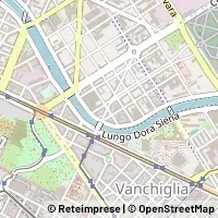 Peta Torino