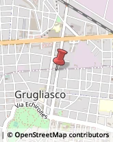 Viale Antonio Gramsci, 170,10095Grugliasco