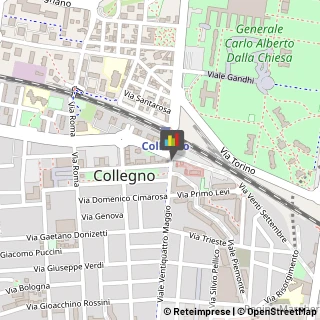 Alcool Collegno,10093Torino