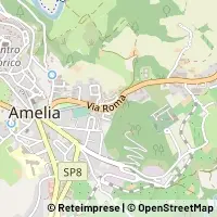 Map Amelia