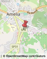 Viale Europa, 60,05022Amelia