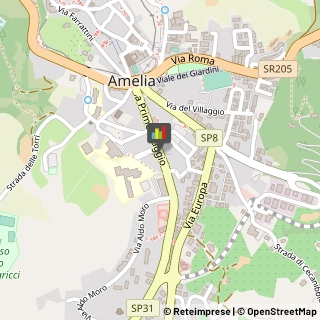 Assicurazioni Amelia,05022Terni