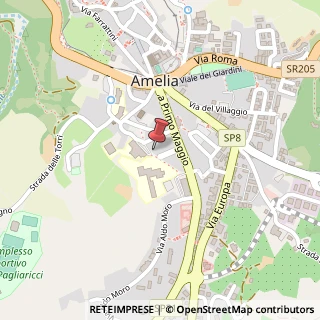 Mappa Via Stylida, 41, 05022 Amelia, Terni (Umbria)