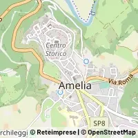 Map Amelia