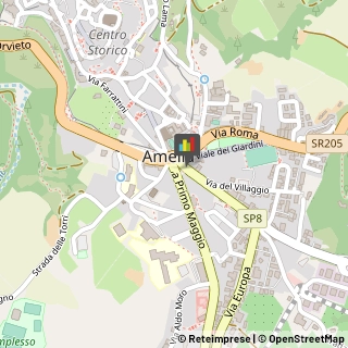 Assicurazioni Amelia,05022Terni