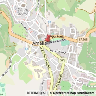 Mappa Piazza XXI Settembre, 10, 05022 Amelia, Terni (Umbria)