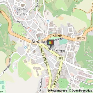 Ambulatori e Consultori Amelia,05022Terni