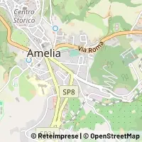 Map Amelia
