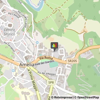 Scuole Materne Private Amelia,05022Terni