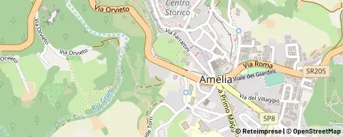 Mappa Amelia