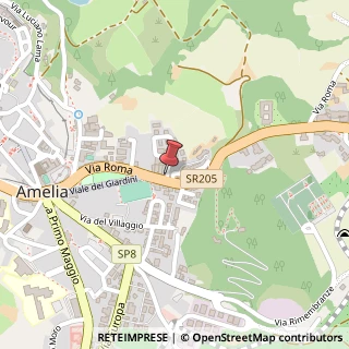 Mappa Via Roma - Strada Statale 205, 55, 05022 Amelia, Terni (Umbria)