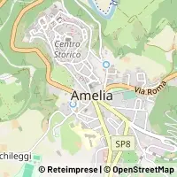 Map Amelia
