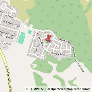 Mappa Via dei faggi 10, 01018 Valentano, Viterbo (Lazio)