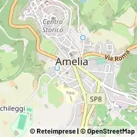 Map Amelia