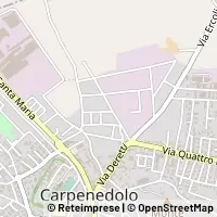 Map Carpenedolo