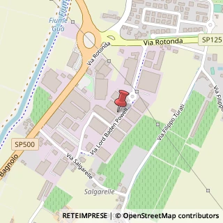 Mappa Via Baden Powell, 22, 36045 Lonigo, Vicenza (Veneto)