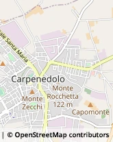 Erboristerie Carpenedolo,25013Brescia