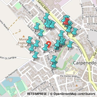 Mappa Via Alcide De Gasperi, 25013 Carpenedolo BS, Italia (0.20571)