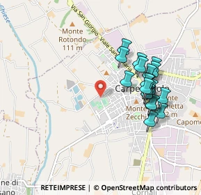 Mappa Via Piemonte, 25013 Carpenedolo BS, Italia (0.894)