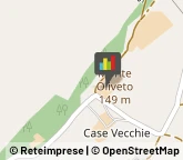 Aziende Agricole,46040Mantova