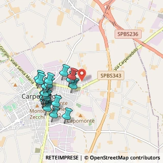 Mappa Via Rinaldini, 25013 Carpenedolo BS, Italia (1.013)