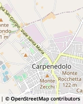 Aziende Agricole Carpenedolo,25013Brescia