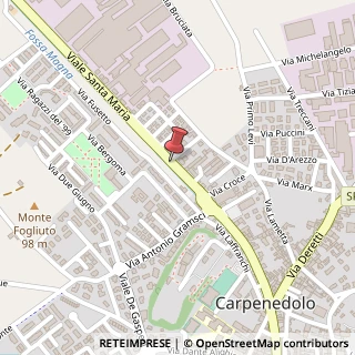 Mappa Viale Santa Maria, 18, 25013 Carpenedolo, Brescia (Lombardia)