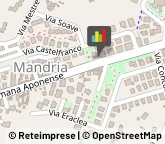 Vivai Piante e Fiori Padova,35142Padova