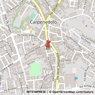 Mappa Via Giuseppe Garibaldi, 17, 25013 Carpenedolo, Brescia (Lombardia)
