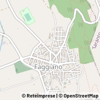 Kart Faggiano