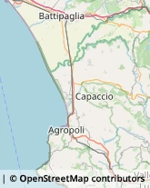 Ortofrutticoltura Agropoli,84043Salerno