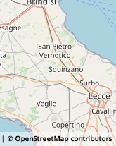 Agenzie di Animazione e Spettacolo Salice Salentino,73015Lecce