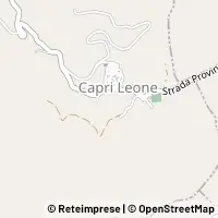 Map Capri Leone