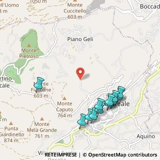 Mappa Strada Vicinale Caputello, 90046 Monreale PA, Italia (1.2975)