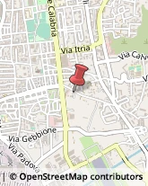 Via San Giuseppe, 24,89131Reggio di Calabria