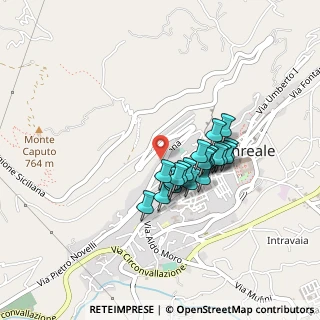 Mappa Via Vicinale S. Martino, 90046 Monreale PA, Italia (0.361)