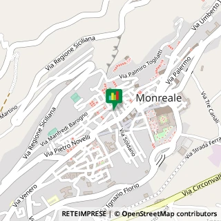 Via Canzonieri, 9,90046Monreale