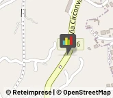 Agenti e Rappresentanti di Commercio,90046Palermo