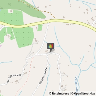 Aziende Agricole Casale Marittimo,56040Pisa