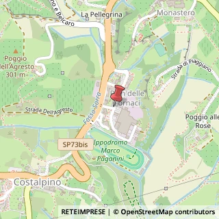 Mappa Via Leonida Cialfi, 9, 53100 Siena SI, Italia, 53100 Siena, Siena (Toscana)